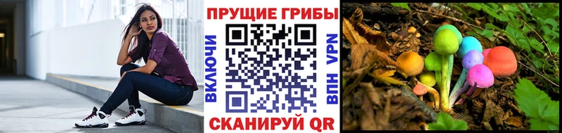 Псилоцибиновые грибы Cubensis  omg ссылки  Ржев 