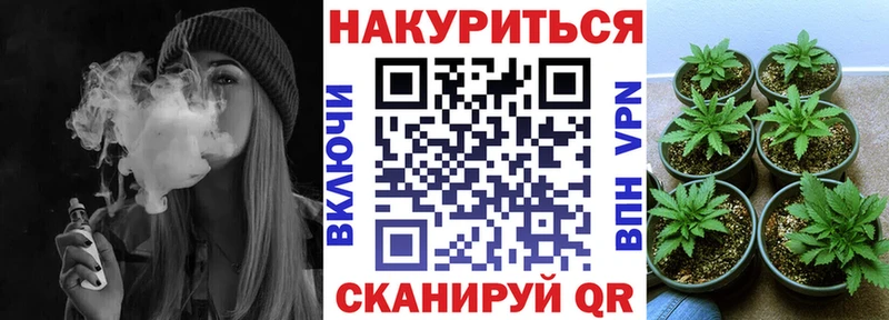 Бошки марихуана марихуана  KRAKEN зеркало  Ржев  продажа наркотиков 